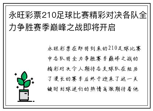 永旺彩票210足球比赛精彩对决各队全力争胜赛季巅峰之战即将开启